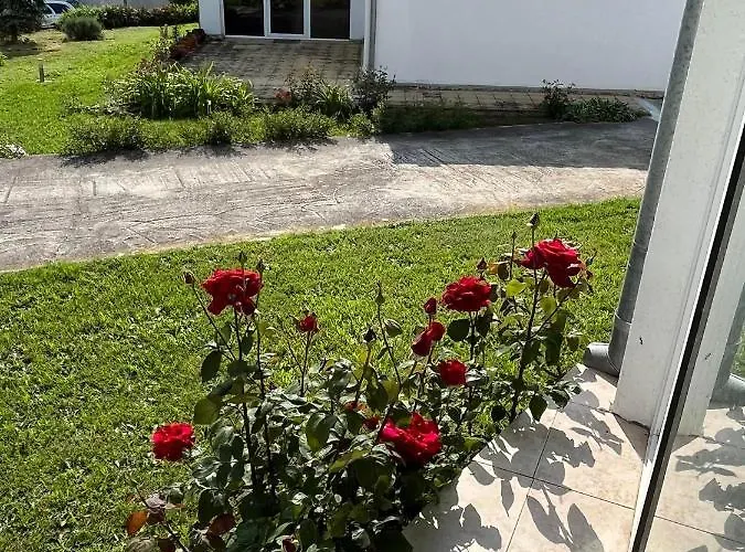 приятна къща за почивка караколев 2 Ваканционна къща Оброчище